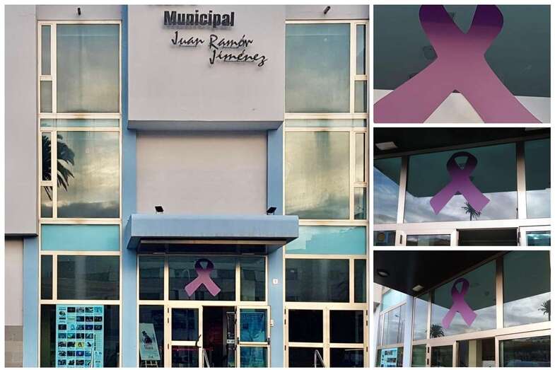 Lazo morado en la puerta principal del edificio municipal (Foto TA)